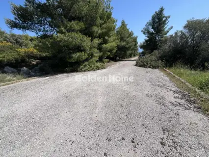 Residential 1200m<sup>2</sup> for sale photo 9