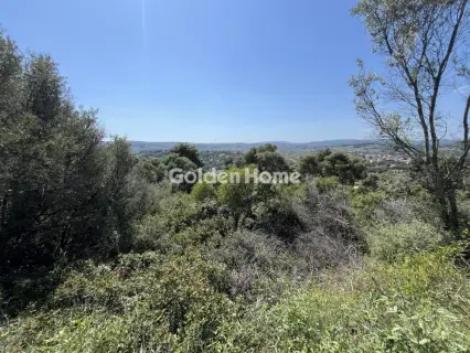 Οικιστικό 1200τ.μ. προς πώληση φωτογραφία 11