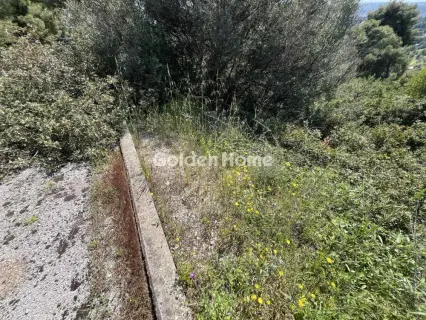 Residential 1200m<sup>2</sup> for sale photo 12