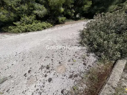 Residential 1200m<sup>2</sup> for sale photo 13