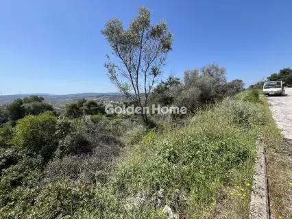 Οικιστικό 1200τ.μ. προς πώληση φωτογραφία 14