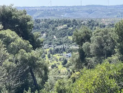 Οικιστικό 1200τ.μ. προς πώληση φωτογραφία 15