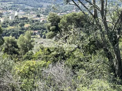 Residential 1200m<sup>2</sup> for sale photo 17