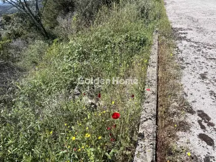 Residential 1200m<sup>2</sup> for sale photo 18