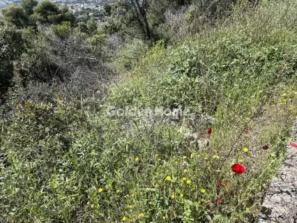 Residential 1200m<sup>2</sup> for sale photo 19