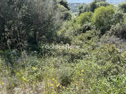 Residential 1200m<sup>2</sup> for sale photo 20