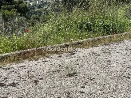 Residential 1200m<sup>2</sup> for sale photo 22