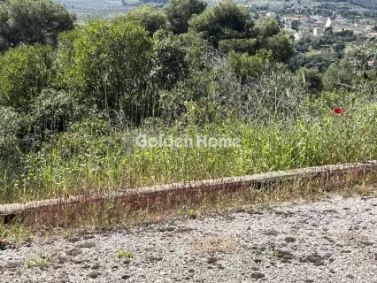 Residential 1200m<sup>2</sup> for sale photo 24