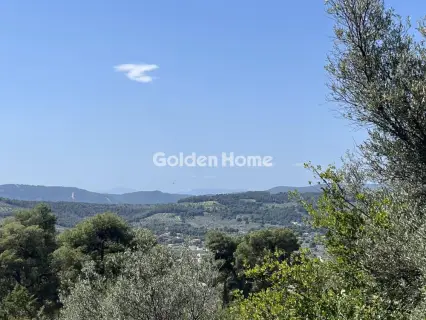 Residential 1200m<sup>2</sup> for sale photo 4