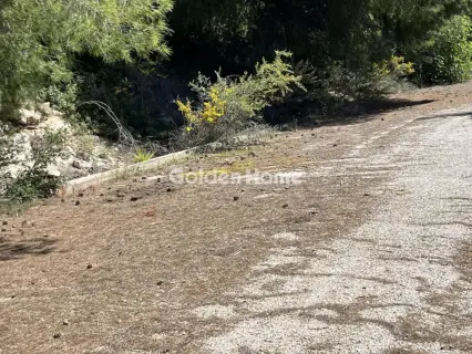 Residential 1200m<sup>2</sup> for sale photo 26