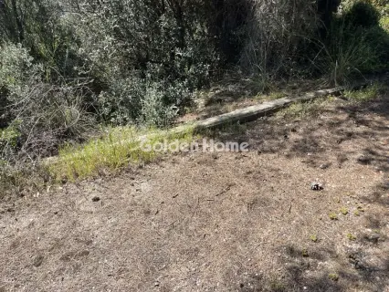 Residential 1200m<sup>2</sup> for sale photo 28