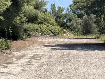 Residential 1200m<sup>2</sup> for sale photo 29