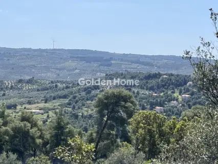 Residential 1200m<sup>2</sup> for sale photo 30