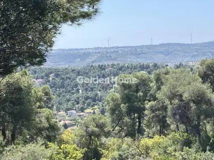 Residential 1200m<sup>2</sup> for sale photo 31