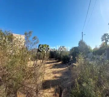 Golden Home Property Image