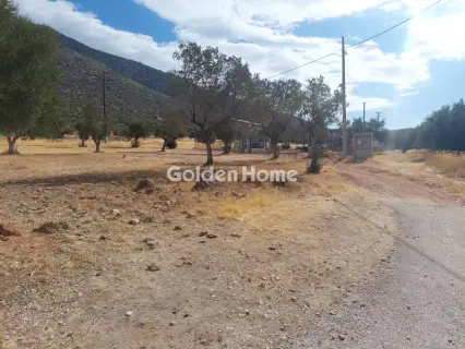 Επαγγελ. Οικόπεδο 34000τ.μ. προς ενοικίαση φωτογραφία 1