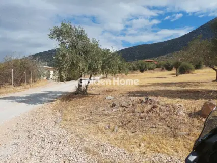 Επαγγελ. Οικόπεδο 34000τ.μ. προς ενοικίαση φωτογραφία 2