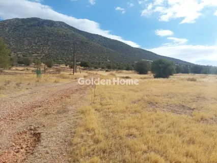 Επαγγελ. Οικόπεδο 34000τ.μ. προς ενοικίαση φωτογραφία 3