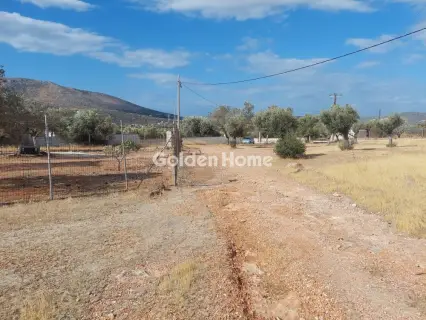 Επαγγελ. Οικόπεδο 34000τ.μ. προς ενοικίαση φωτογραφία 6