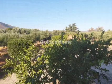 独立复式小屋 420m<sup>2</sup> for sale photo 16