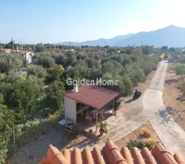 Golden Home Property Image
