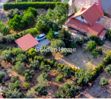 Golden Home Property Image