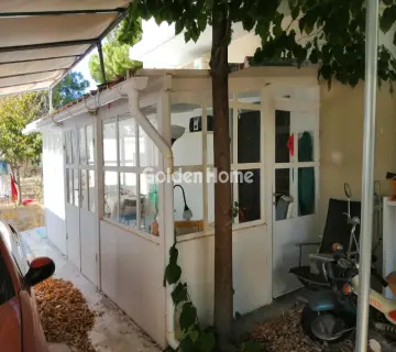 Golden Home Property Image