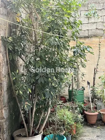 Διαμέρισμα 48τ.μ. προς πώληση φωτογραφία 5362754