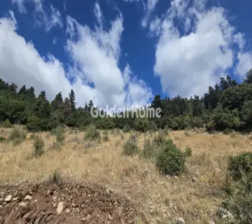 Residential 2000m<sup>2</sup> for sale photo 2