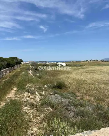Residential 12000m<sup>2</sup> for sale photo 5022855