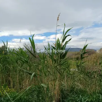 住宅 20000m<sup>2</sup> for sale photo 3