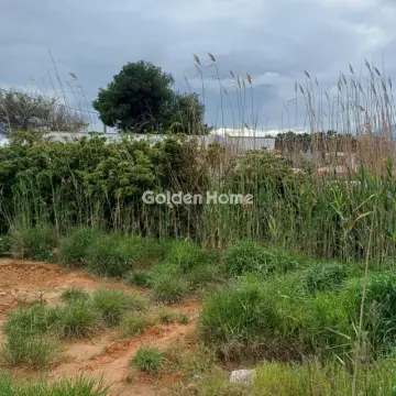 住宅 20000m<sup>2</sup> for sale photo 4