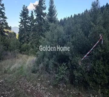 Residential 8000m<sup>2</sup> for sale photo 5116352