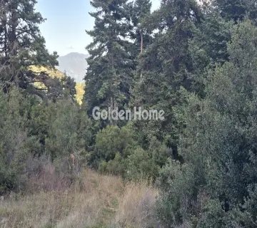 Residential 8000m<sup>2</sup> for sale photo 5116353