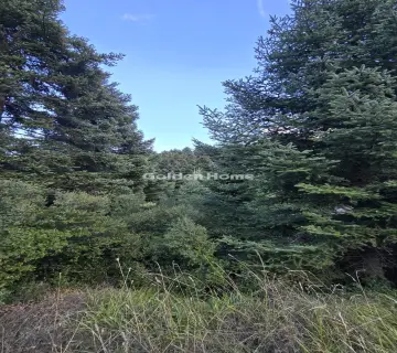Residential 8000m<sup>2</sup> for sale photo 5116354