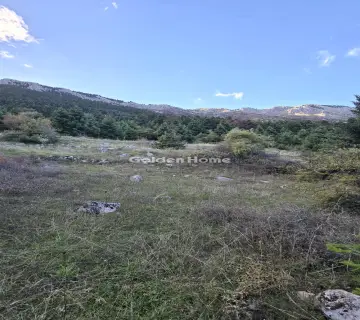 Residential 8000m<sup>2</sup> for sale photo 5116343