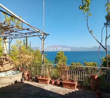 Golden Home Property Image