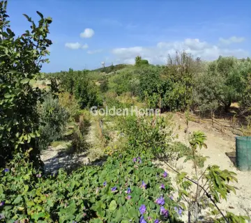 Residential 650m<sup>2</sup> for sale photo 5035390