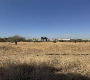 Επαγγελ. Οικόπεδο 18000τ.μ. προς ενοικίαση φωτογραφία 1
