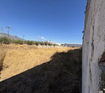 Industrial 3557m<sup>2</sup> for rent photo 26
