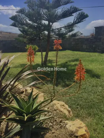 Residence complex 426m<sup>2</sup> for sale photo 27