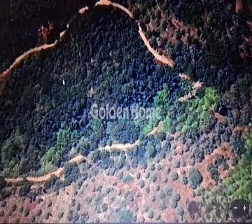 Area 5816m<sup>2</sup> for sale photo 5035072