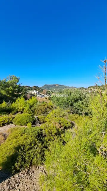 Residential 23000m<sup>2</sup> for sale photo 8