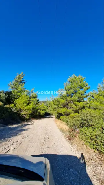 Residential 23000m<sup>2</sup> for sale photo 4