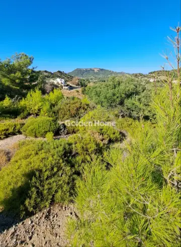 Residential 23000m<sup>2</sup> for sale photo 3