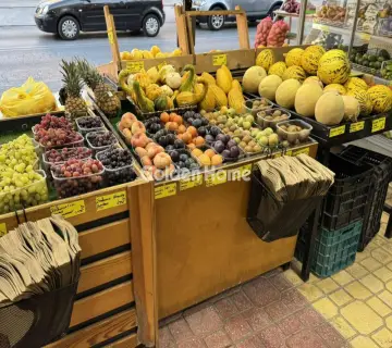 Golden Home Property Image