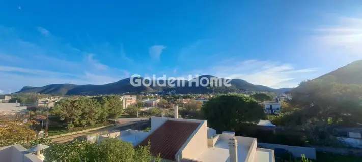 Μονοκατοικία 240τ.μ. προς πώληση φωτογραφία 3