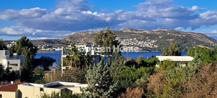 Μονοκατοικία 240τ.μ. προς πώληση φωτογραφία 1