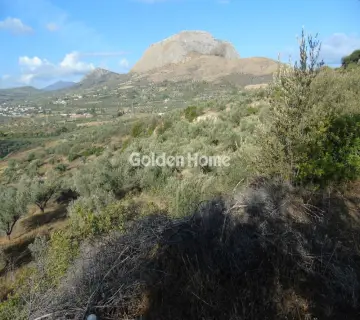 Parcel 10775m<sup>2</sup> for sale photo 5039493