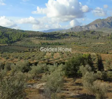 Golden Home Property Image